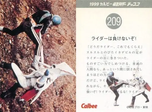 Calbee Kamen Rider Chips - Kamen Rider