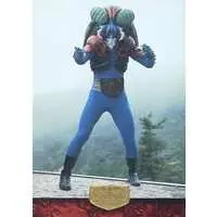 Trading Card - Kamen Rider