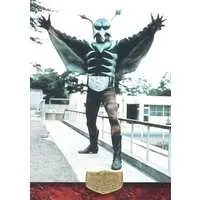 Trading Card - Kamen Rider