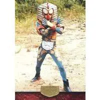 Trading Card - Kamen Rider / Egyptas