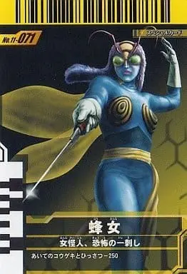 Ganbaride - Kamen Rider / Wasp Woman