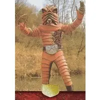 Trading Card - Kamen Rider / Worm Man