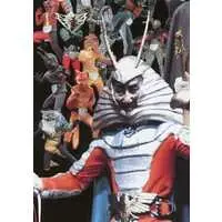 Trading Card - Kamen Rider