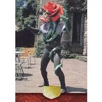 Trading Card - Kamen Rider / Bararanga