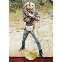 Trading Card - Kamen Rider / Egyptas