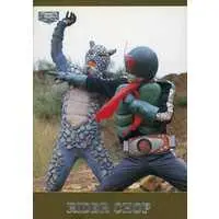 Trading Card - Kamen Rider