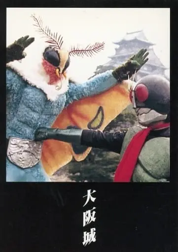 Trading Card - Kamen Rider