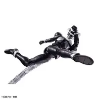 Figure-rise Standard - Kamen Rider W / Kamen Rider Double & Kamen Rider Skull