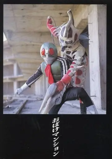 Trading Card - Kamen Rider