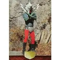 Trading Card - Kamen Rider