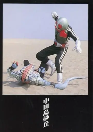 Trading Card - Kamen Rider