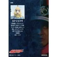 Trading Card - Kamen Rider