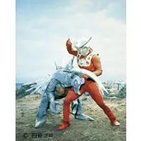 Trading Card - Ultraman Leo