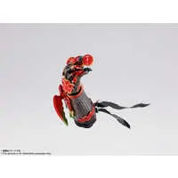 S.H. Figuarts - Kamen Rider OOO / Ankh
