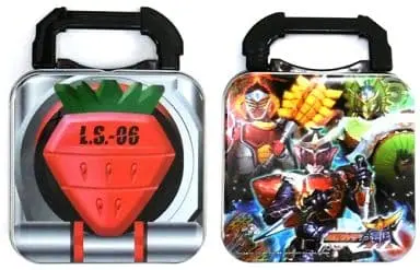 Case - Kamen Rider Gaim