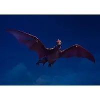 Figure - Godzilla / Rodan