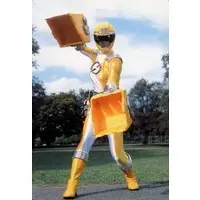 Character Card - Trading Card - GoGo Sentai Boukenger