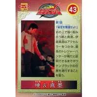 Character Card - Trading Card - GoGo Sentai Boukenger