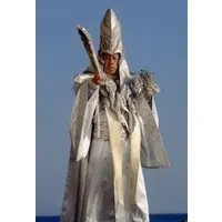Character Card - Trading Card - GoGo Sentai Boukenger