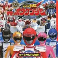 Book - GoGo Sentai Boukenger