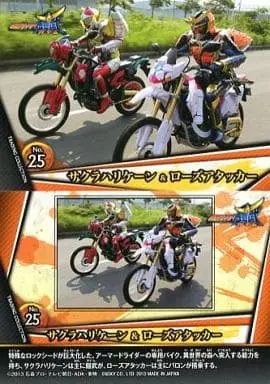 Trading Card - Kamen Rider Gaim