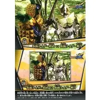 Trading Card - Kamen Rider Gaim / Kamen Rider Zangetsu