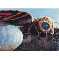 Trading Card - Mothra vs. Godzilla / Mothra