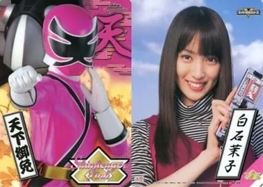 Plastic Sheet - Stationery - Samurai Sentai Shinkenger / Shinken Pink