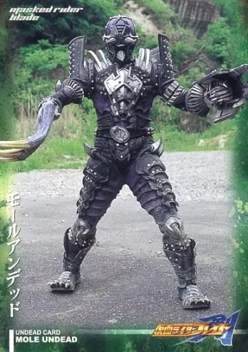 Trading Card - Kamen Rider Blade