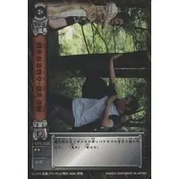 Trading Card - Kamen Rider Hibiki