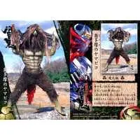 Trading Card - Kamen Rider Hibiki