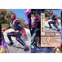 Trading Card - Kamen Rider Hibiki