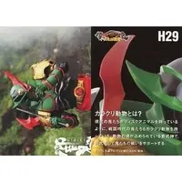 Trading Card - Kamen Rider Hibiki