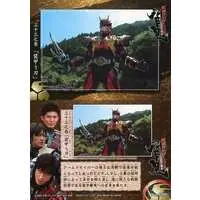 Trading Card - Kamen Rider Hibiki