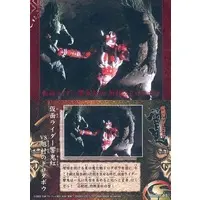 Trading Card - Kamen Rider Hibiki