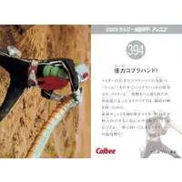 Calbee Kamen Rider Chips - Kamen Rider