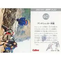 Calbee Kamen Rider Chips - Kamen Rider