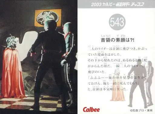 Calbee Kamen Rider Chips - Kamen Rider