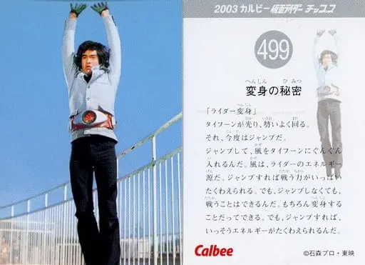 Calbee Kamen Rider Chips - Kamen Rider