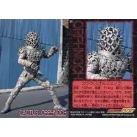 Trading Card - Kamen Rider 555