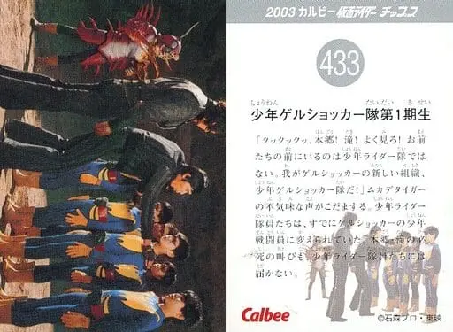 Calbee Kamen Rider Chips - Kamen Rider