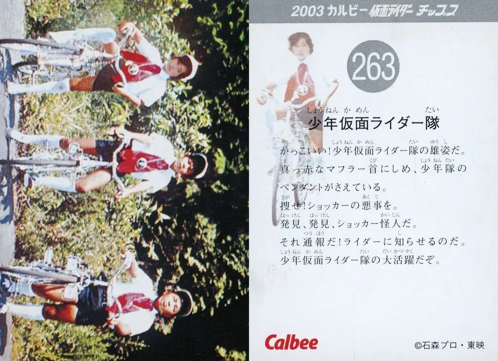 Calbee Kamen Rider Chips - Kamen Rider