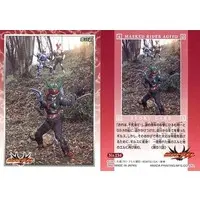 Trading Card - Kamen Rider Agito