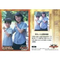 Trading Card - Kamen Rider Agito