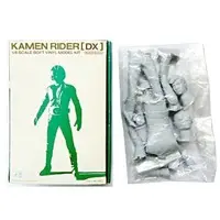 Figure - Kamen Rider