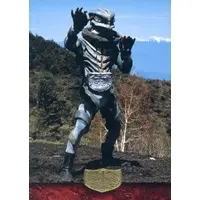 Trading Card - Kamen Rider