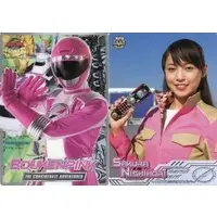 Plastic Sheet - Stationery - GoGo Sentai Boukenger / Bouken Pink