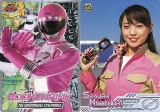 Plastic Sheet - Stationery - GoGo Sentai Boukenger / Bouken Pink