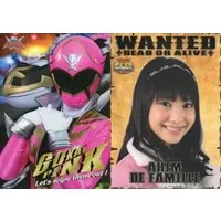 Plastic Sheet - Stationery - Kaizoku Sentai Gokaiger / Gokai Pink