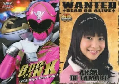 Plastic Sheet - Stationery - Kaizoku Sentai Gokaiger / Gokai Pink